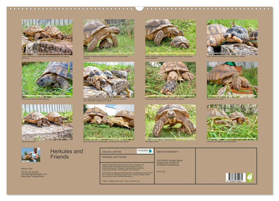 Herkules and Friends (CALVENDO Wandkalender 2027)