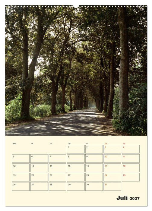 Usedom (CALVENDO Premium Wandkalender 2027)