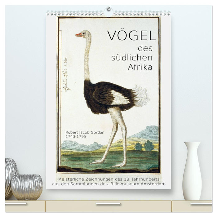 Vögel des südlichen Afrika (CALVENDO Premium Wandkalender 2027)