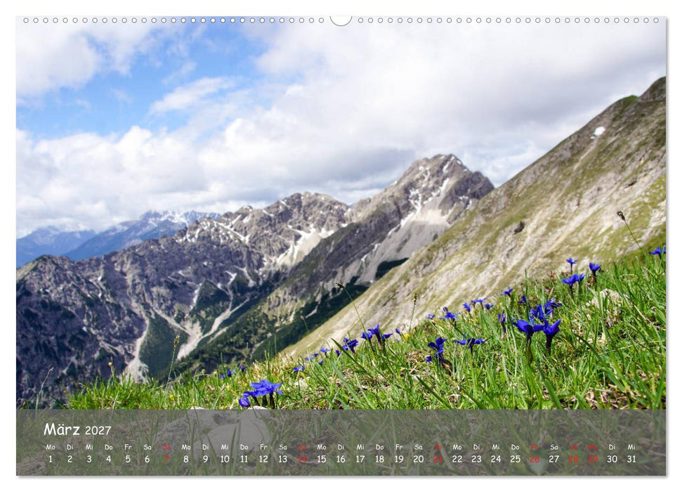 Ammergauer Alpen (CALVENDO Wandkalender 2027)