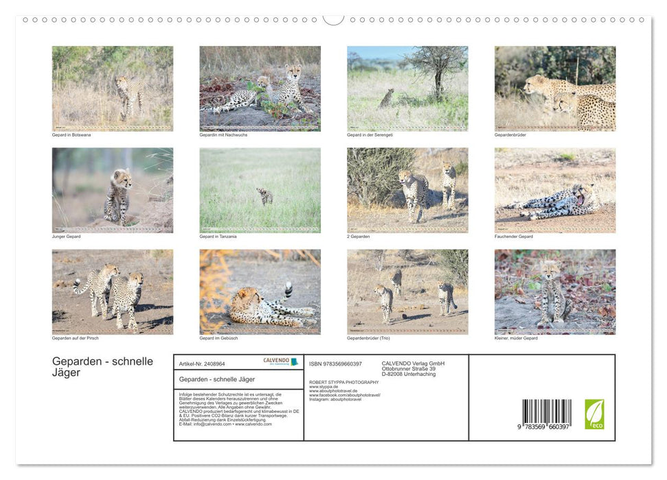 Geparden - schnelle Jäger (CALVENDO Premium Wandkalender 2027)