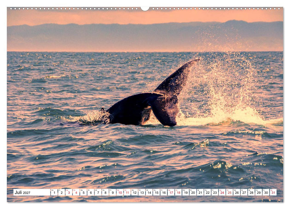Karibische Momente - Eine Reise ins tropische Paradies (CALVENDO Premium Wandkalender 2027)