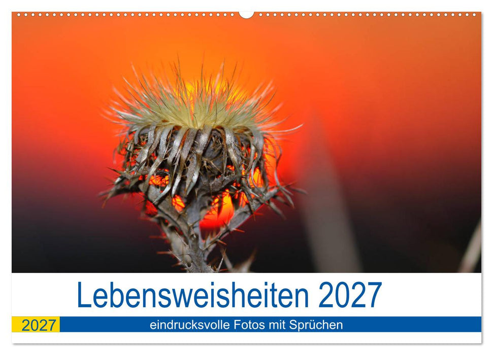 Lebensweisheiten 2027 (CALVENDO Wandkalender 2027)