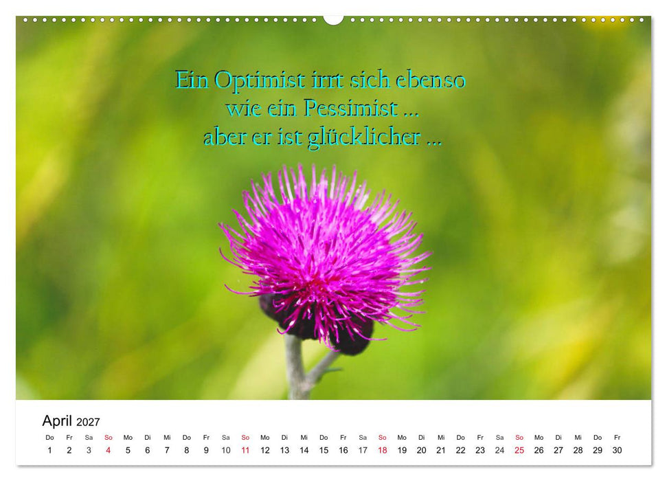 Lebensweisheiten 2027 (CALVENDO Wandkalender 2027)