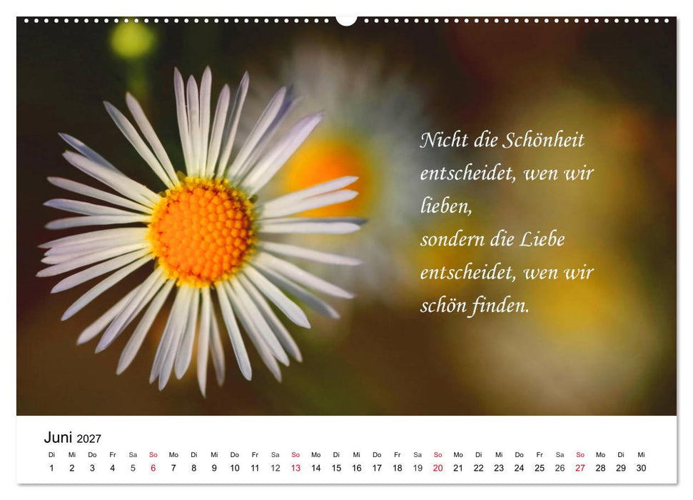 Lebensweisheiten 2027 (CALVENDO Wandkalender 2027)