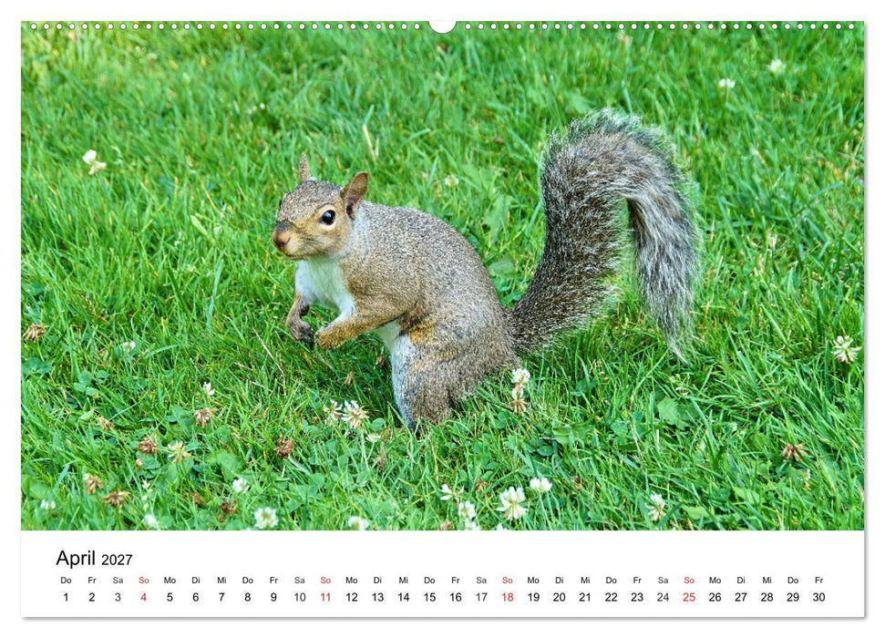 Ontario - Der Süden (CALVENDO Premium Wandkalender 2027)