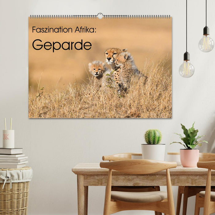 Faszinaton Afrika: Geparde (CALVENDO Wandkalender 2027)