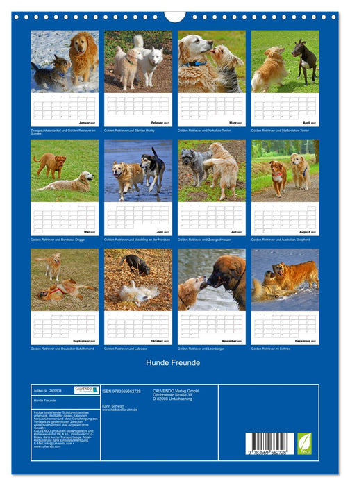 Hunde Freunde (CALVENDO Wandkalender 2027)