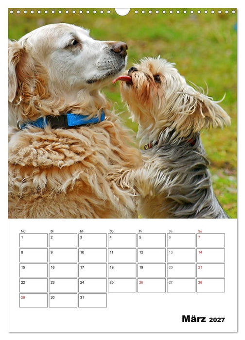Hunde Freunde (CALVENDO Wandkalender 2027)