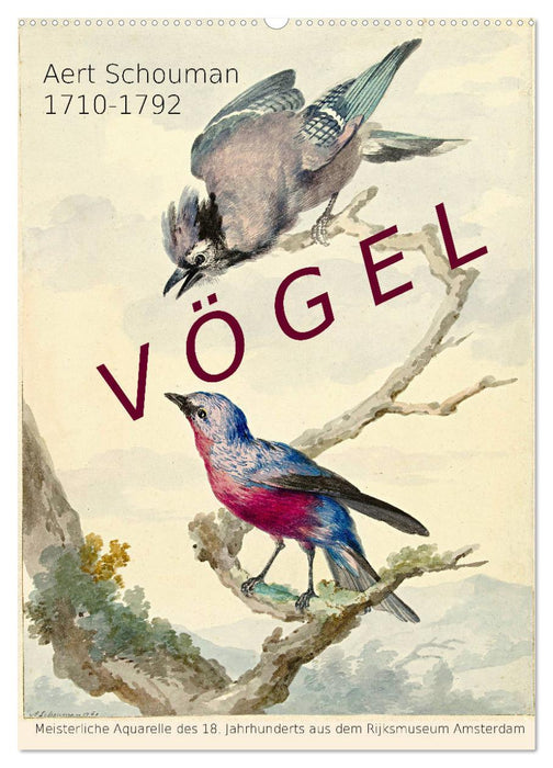 Aert Schouman. VÖGEL (CALVENDO Wandkalender 2027)