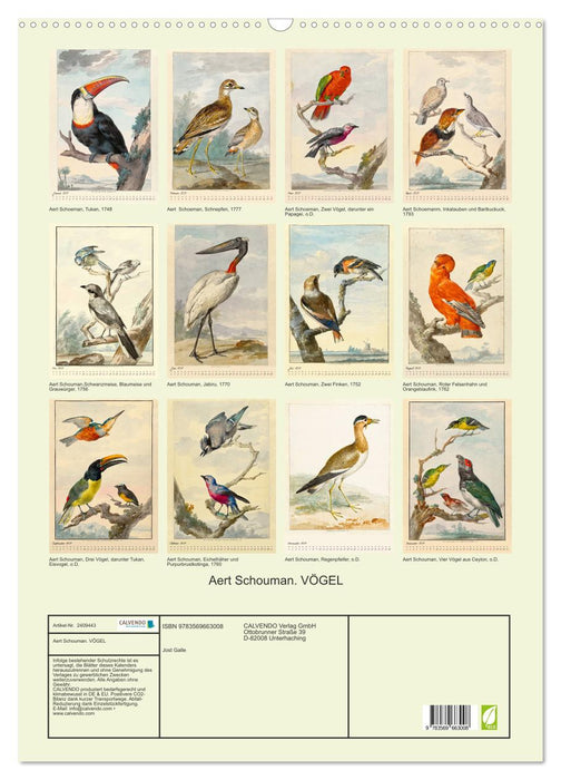Aert Schouman. VÖGEL (CALVENDO Wandkalender 2027)