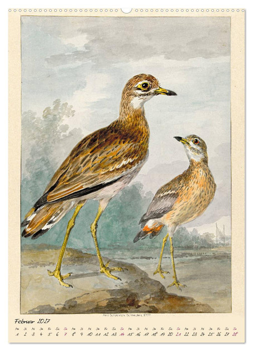 Aert Schouman. VÖGEL (CALVENDO Wandkalender 2027)