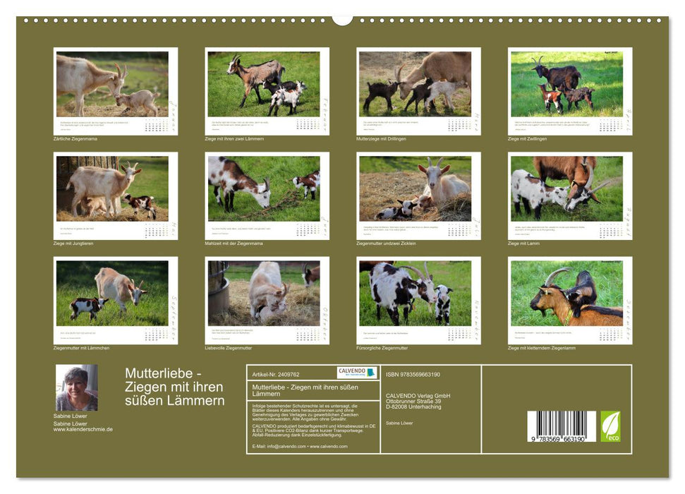 Mutterliebe - Ziegen mit ihren süßen Lämmern (CALVENDO Premium Wandkalender 2027)