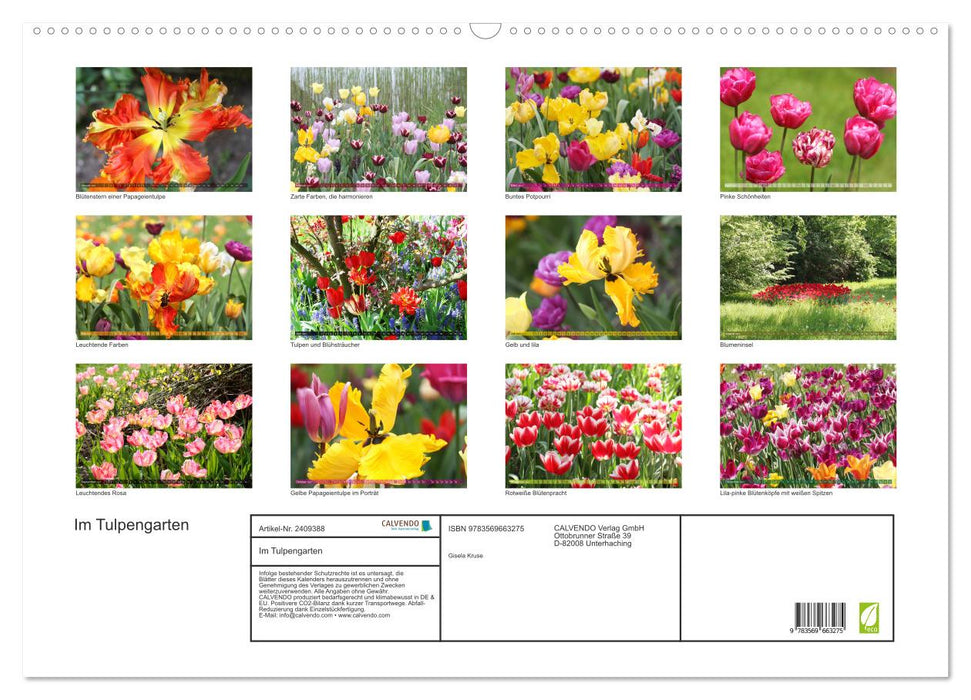 Im Tulpengarten (CALVENDO Wandkalender 2027)
