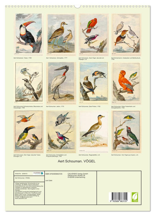 Aert Schouman. VÖGEL (CALVENDO Premium Wandkalender 2027)