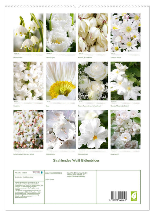 Strahlendes Weiß Blütenbilder (CALVENDO Premium Wandkalender 2027)