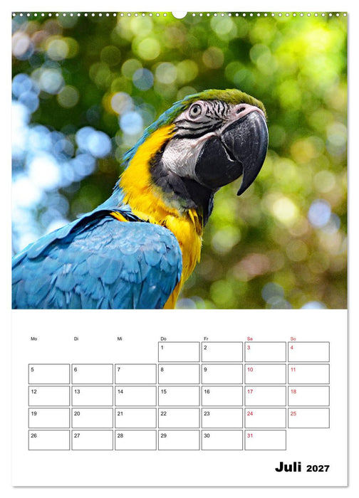 Karibik pur - mit Charme und Zauber (CALVENDO Premium Wandkalender 2027)