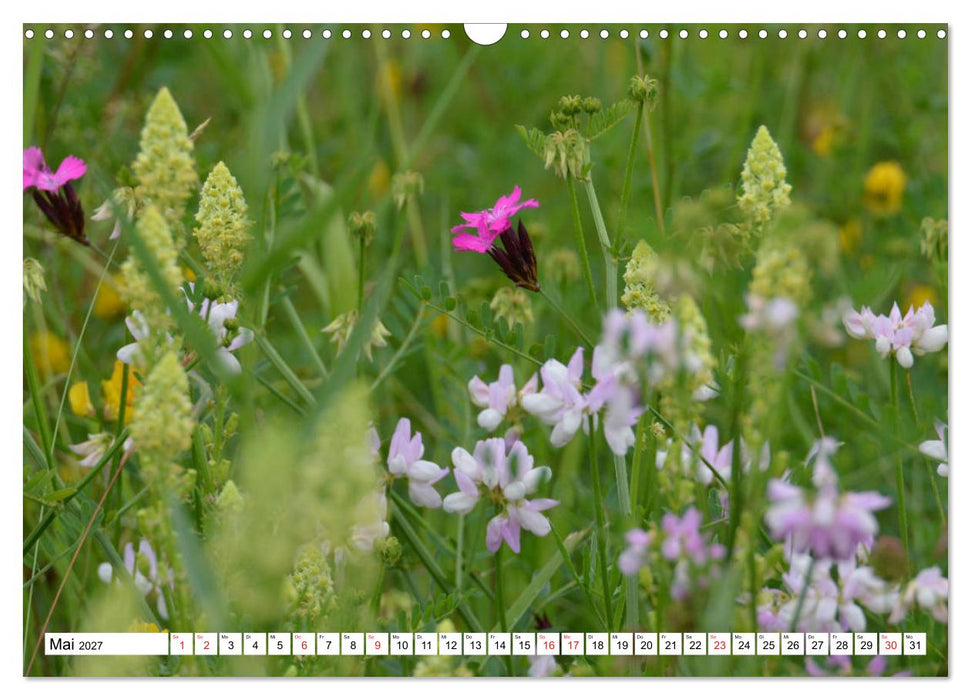 Zauberhaftes Mangfalltal (CALVENDO Wandkalender 2027)