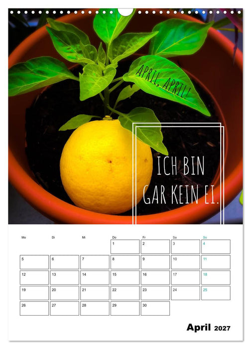 Mit Eiern durch's Jahr. (CALVENDO Wandkalender 2027)