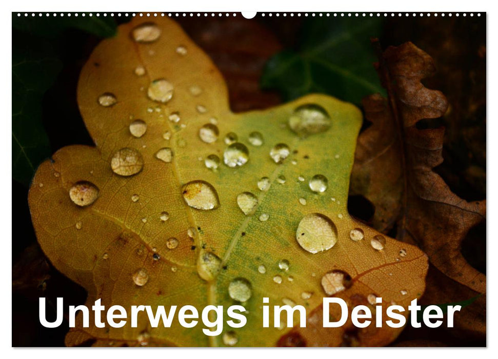 Unterwegs im Deister (CALVENDO Wandkalender 2027)