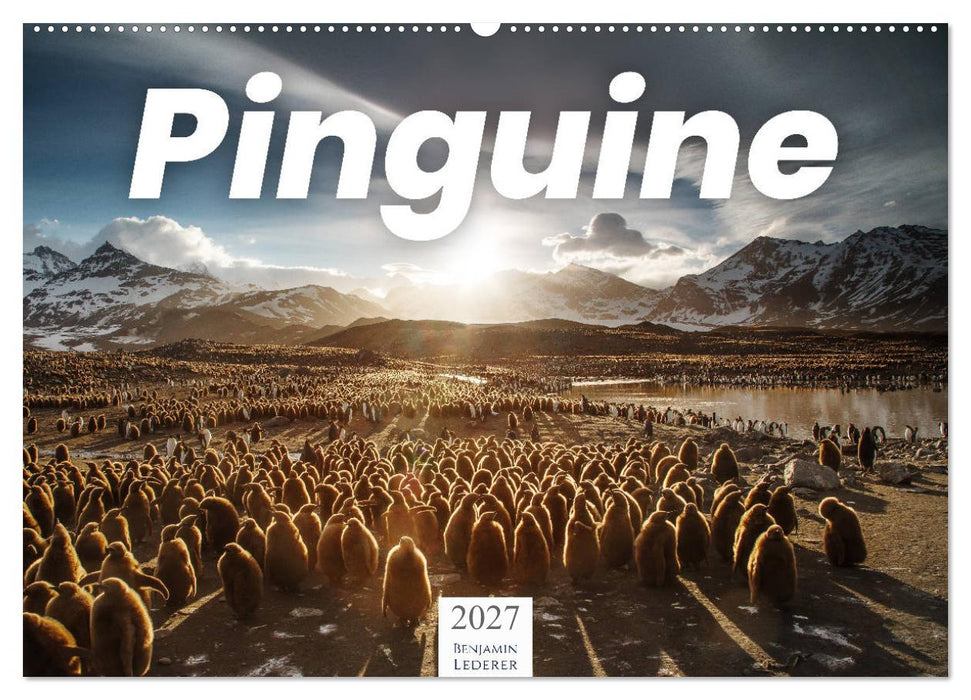 Pinguine - Die sympathischen Frack-Träger (CALVENDO Wandkalender 2027)