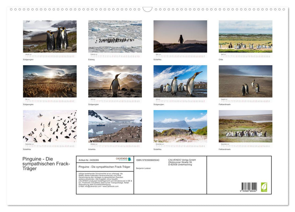 Pinguine - Die sympathischen Frack-Träger (CALVENDO Wandkalender 2027)