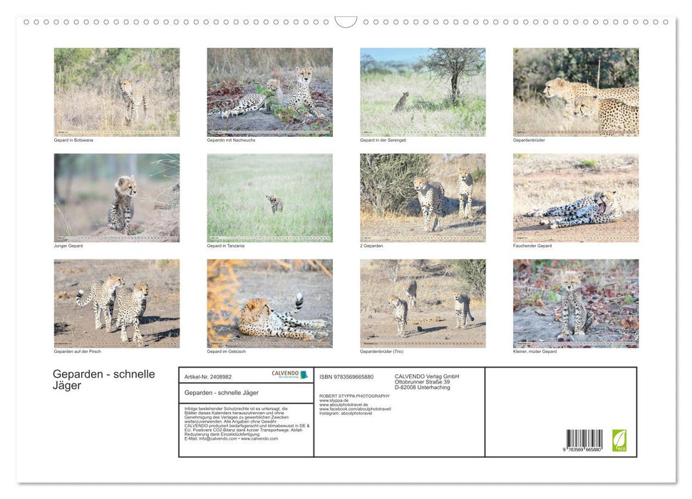 Geparden - schnelle Jäger (CALVENDO Wandkalender 2027)