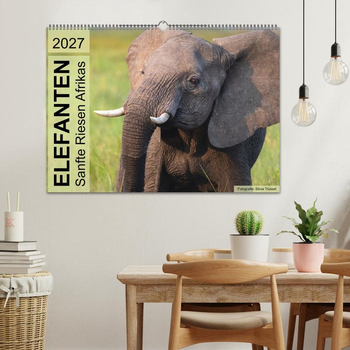 Elefanten - Sanfte Riesen Afrikas (CALVENDO Wandkalender 2027)