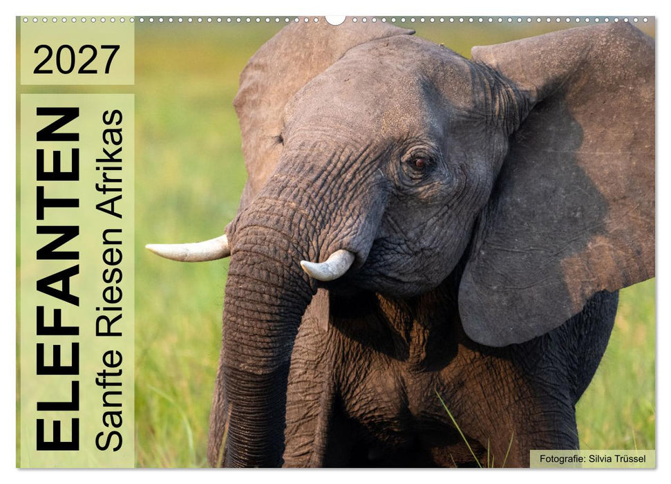 Elefanten - Sanfte Riesen Afrikas (CALVENDO Wandkalender 2027)