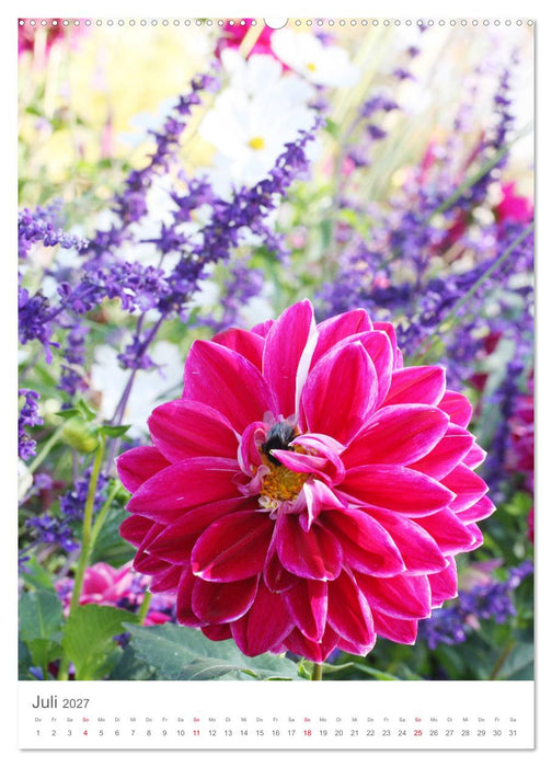 Bunter Sommer (CALVENDO Premium Wandkalender 2027)