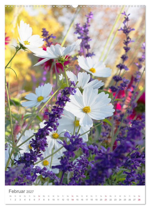 Bunter Sommer (CALVENDO Wandkalender 2027)
