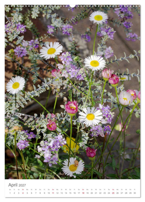 Bunter Sommer (CALVENDO Wandkalender 2027)