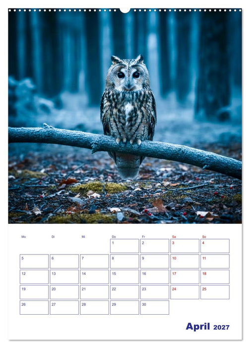 Magie in Blau (CALVENDO Wandkalender 2027)