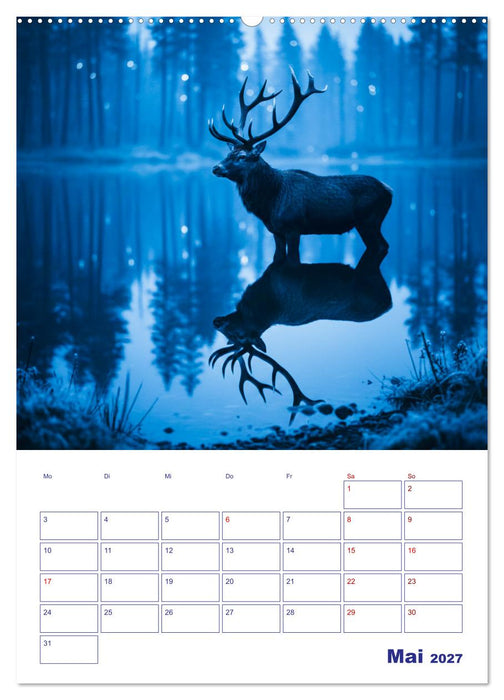 Magie in Blau (CALVENDO Wandkalender 2027)