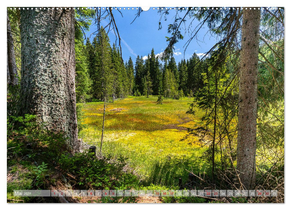 Vogtland - Farben einer Landschaft (CALVENDO Wandkalender 2027)