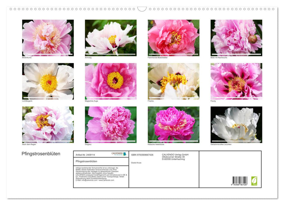 Pfingstrosenblüten (CALVENDO Wandkalender 2027)