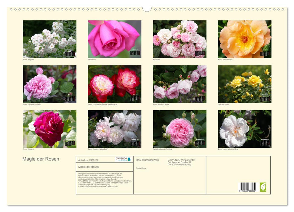 Magie der Rosen (CALVENDO Wandkalender 2027)