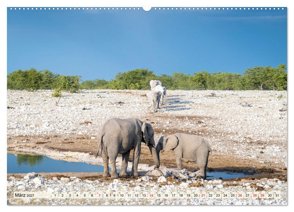 Elefanten - Sanfte Riesen Afrikas (CALVENDO Premium Wandkalender 2027)