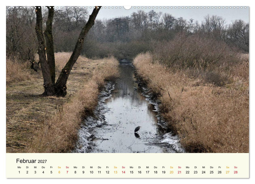 Bremen-Blockland (CALVENDO Wandkalender 2027)