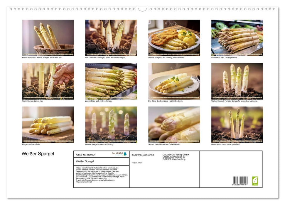 Weißer Spargel (CALVENDO Wandkalender 2027)