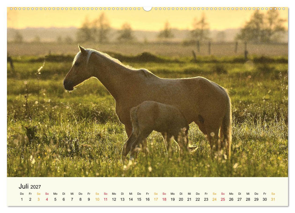 Bremen-Blockland (CALVENDO Premium Wandkalender 2027)