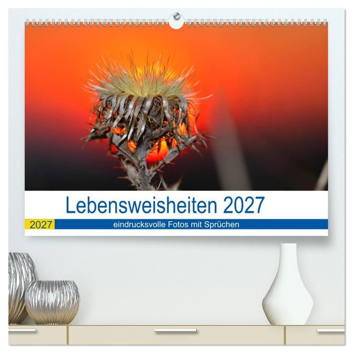 Lebensweisheiten 2027 (CALVENDO Premium Wandkalender 2027)