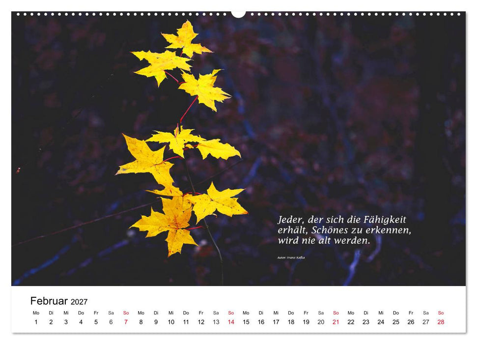 Lebensweisheiten 2027 (CALVENDO Premium Wandkalender 2027)