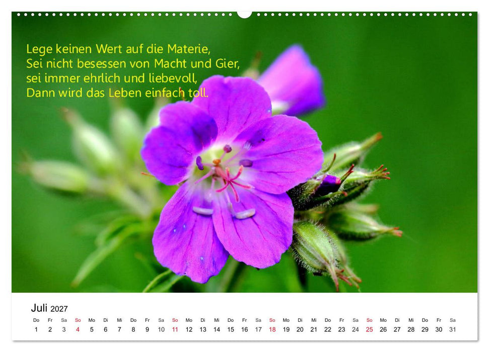 Lebensweisheiten 2027 (CALVENDO Premium Wandkalender 2027)