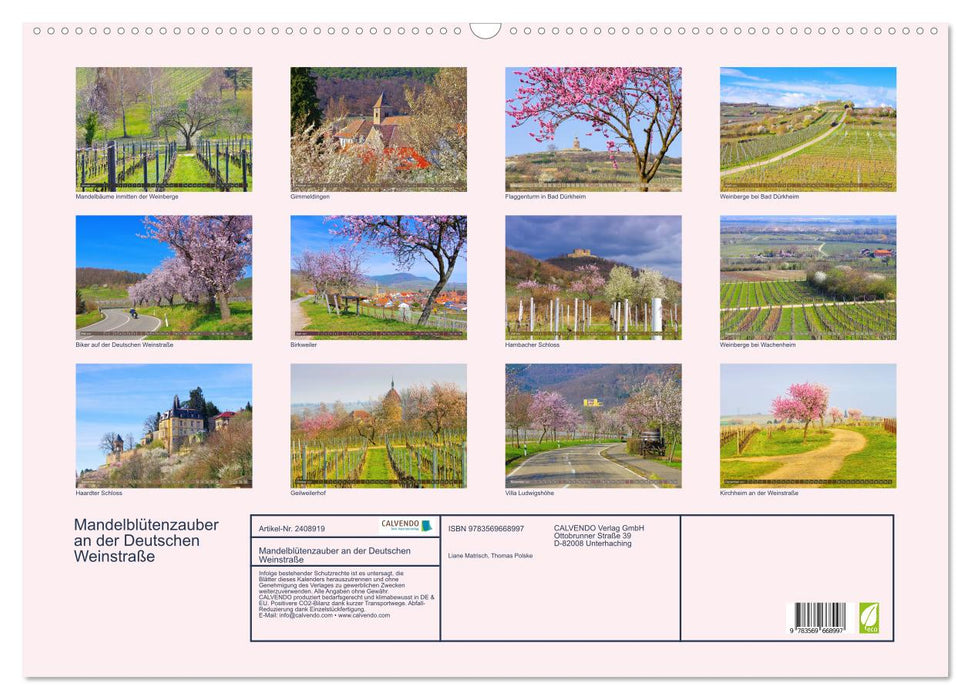 Mandelblütenzauber an der Deutschen Weinstraße (CALVENDO Wandkalender 2027)