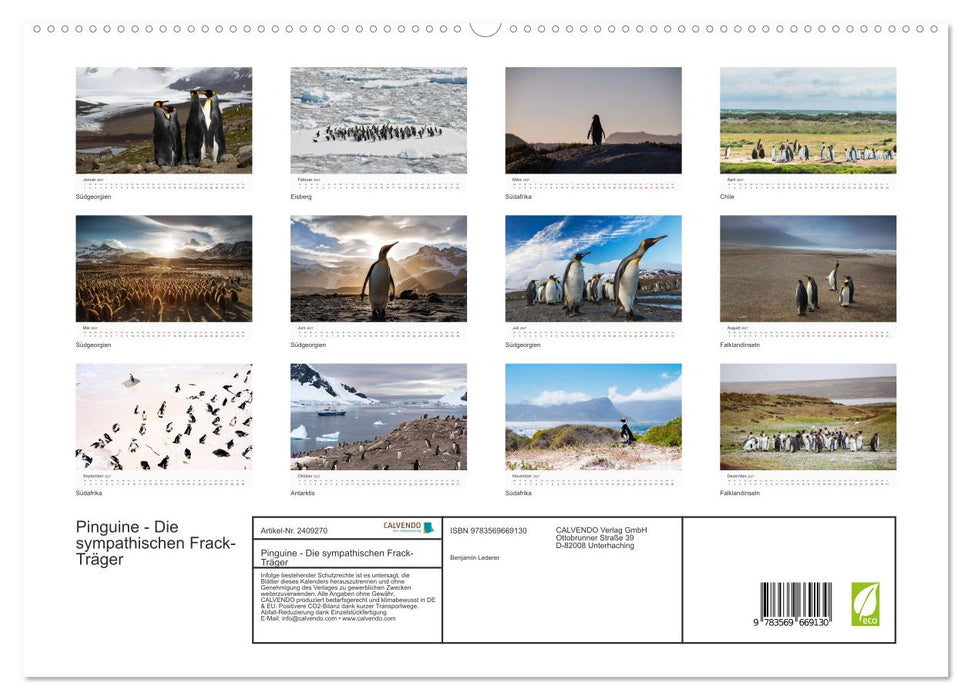 Pinguine - Die sympathischen Frack-Träger (CALVENDO Premium Wandkalender 2027)
