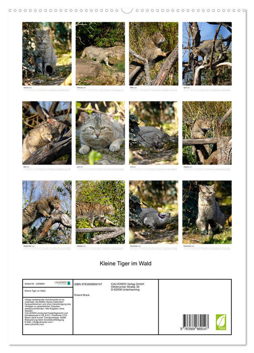Kleine Tiger im Wald (CALVENDO Premium Wandkalender 2027)