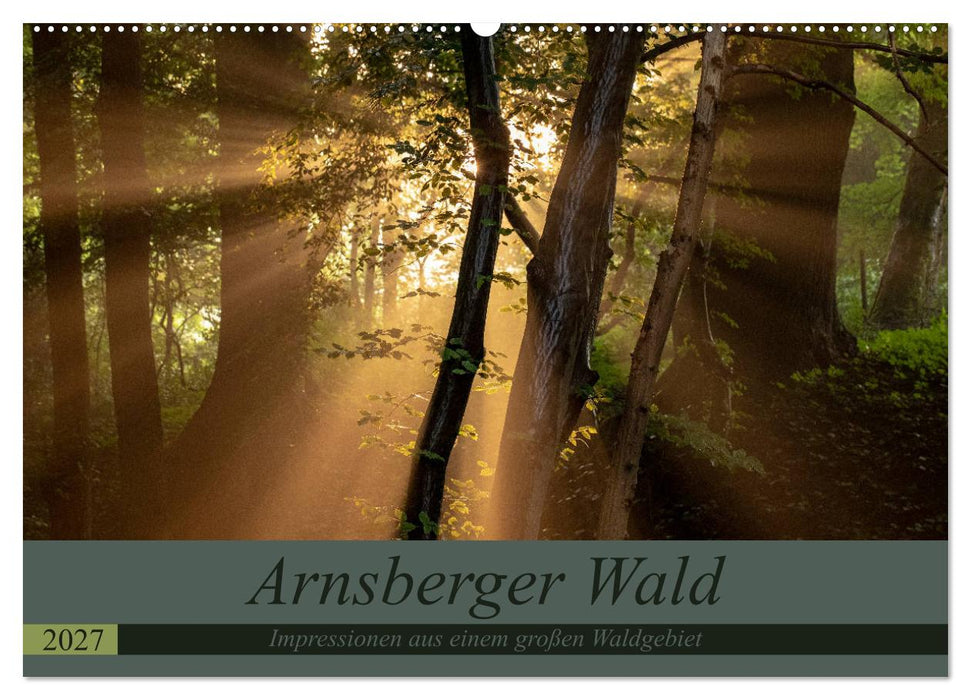 Arnsberger Wald (CALVENDO Wandkalender 2027)
