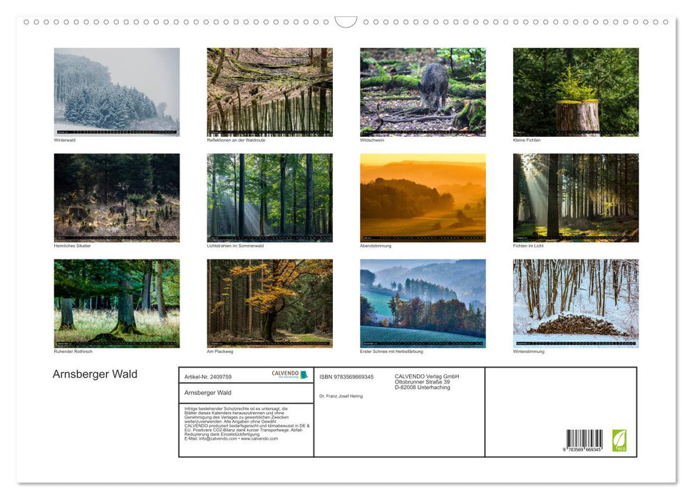 Arnsberger Wald (CALVENDO Wandkalender 2027)