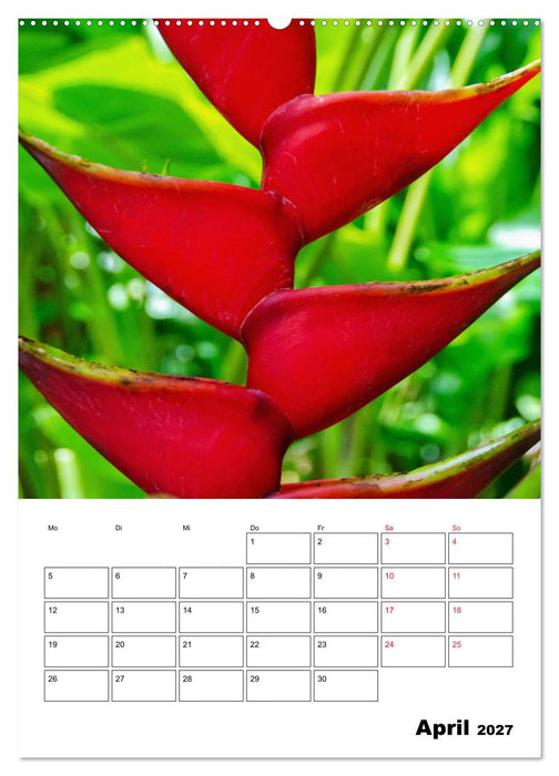 Karibik pur - mit Charme und Zauber (CALVENDO Wandkalender 2027)